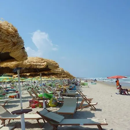 Claudia Int. L - Pineto